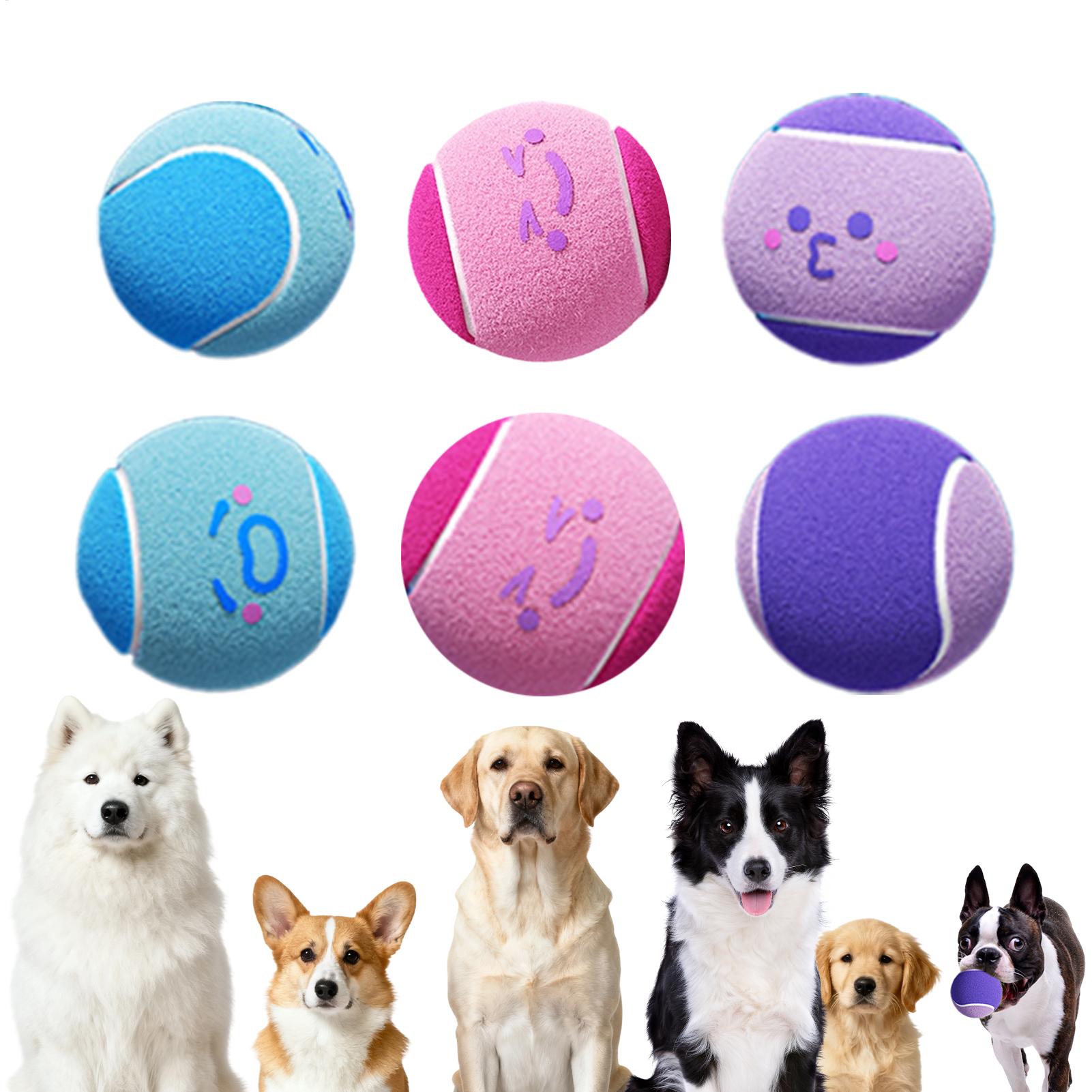 Tennis Balls for Dogs 6 Pieces - Kubb Game Yard 리뷰 및 가격