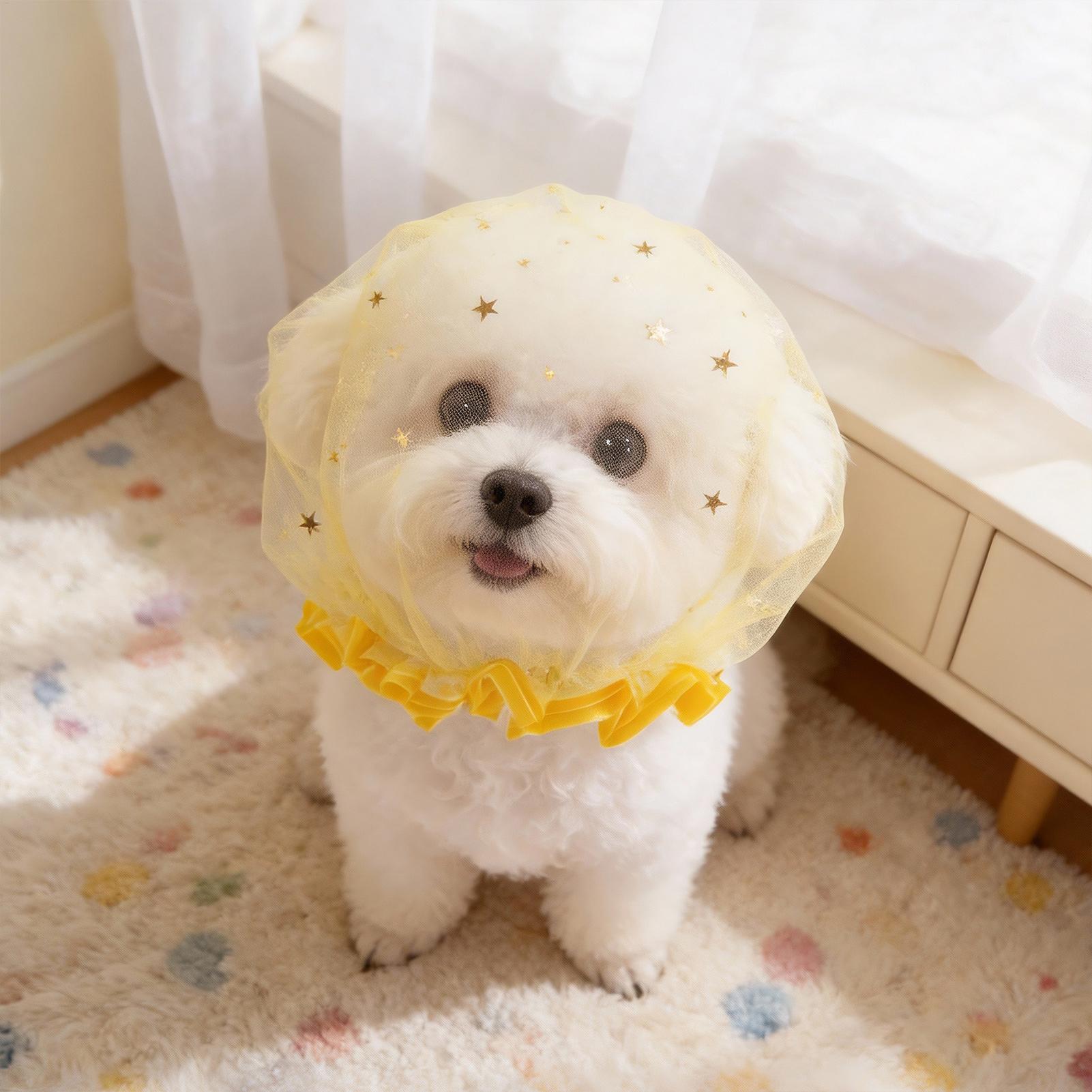 Anti-Scavenging Pet Muzzle Bre - Kubb Game Yard 리뷰 및 가격